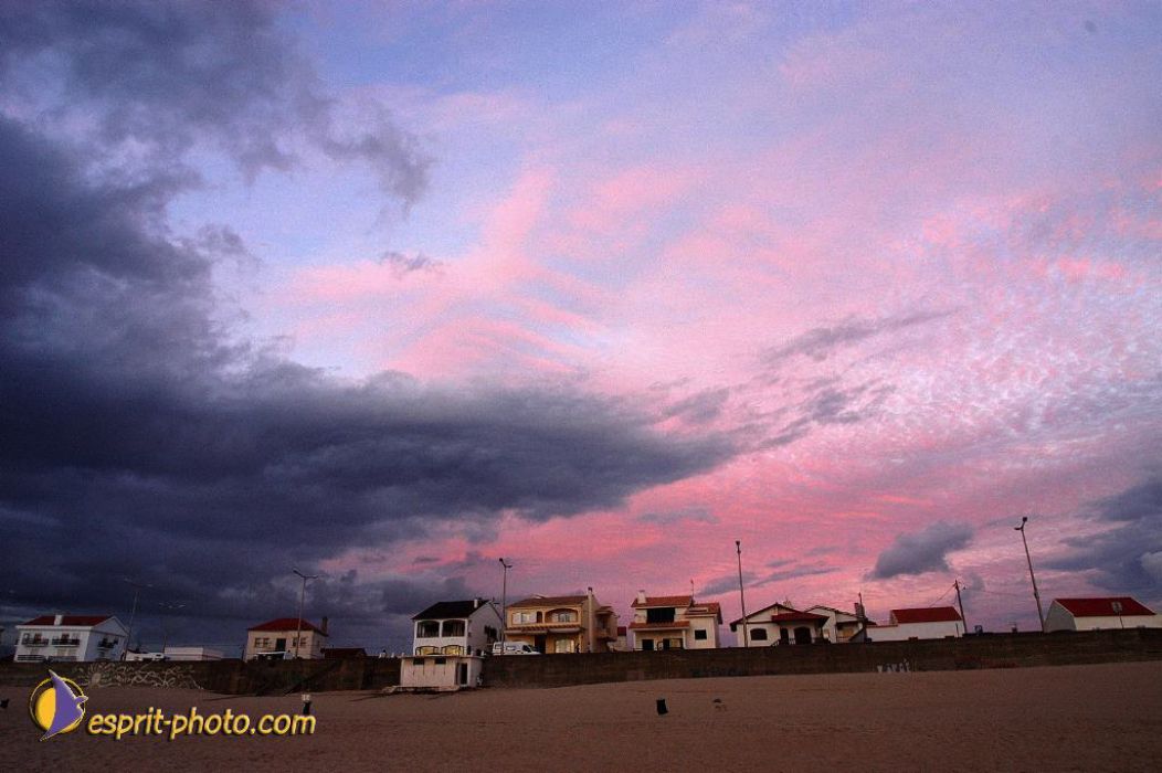 Nom de l'image : EP08-0356_(c)Norbert-JUNG — Description :